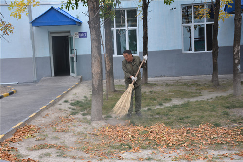 DSC_7991.JPG